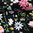 Viskose Webware Amalia bunte Blüten - schwarz