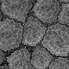 Modal French Terry von Swafing - "Flores de hielo" by Bienvenido Colorido schwarz/ecru *Video*