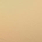 Trenchcoat-Stoff water-repellant - beige
