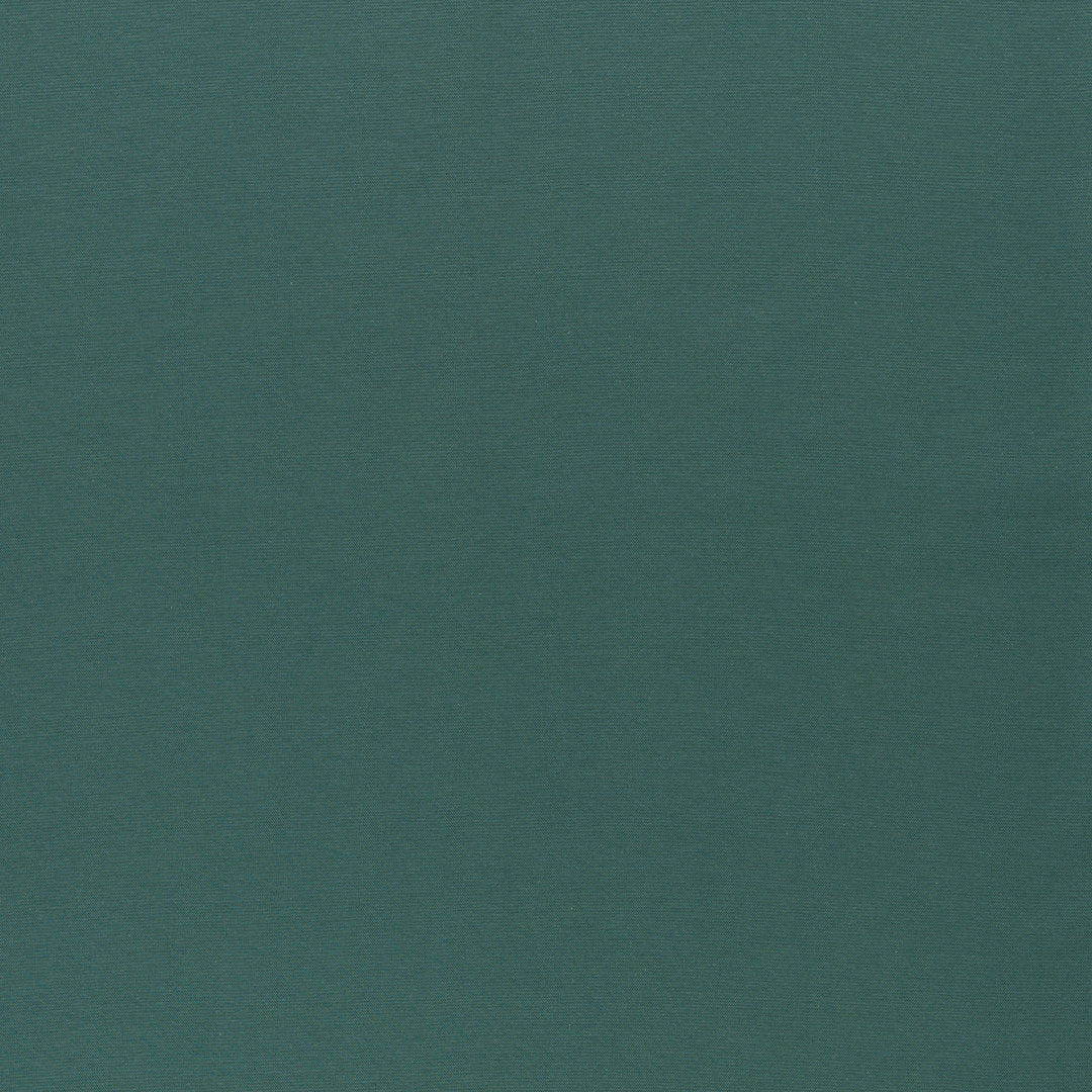 Jersey Uni Basic - salbei / Stoff "Vanessa" von Swafing