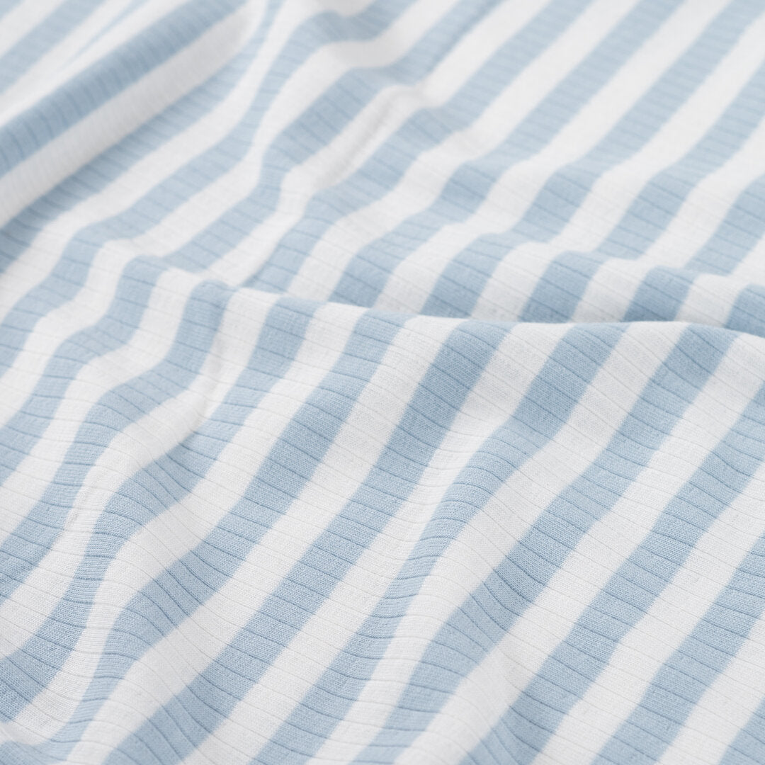 Baumwoll Rippjersey Streifen - dusty blue/white