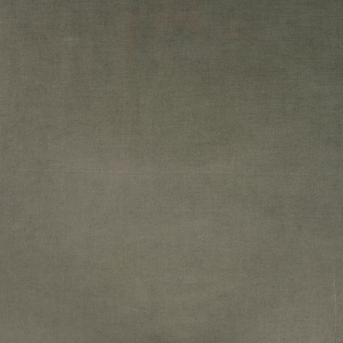 Baumwoll Feincord uni - oliv